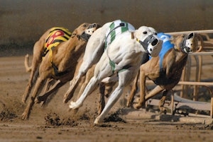 Southland Greyhound Track