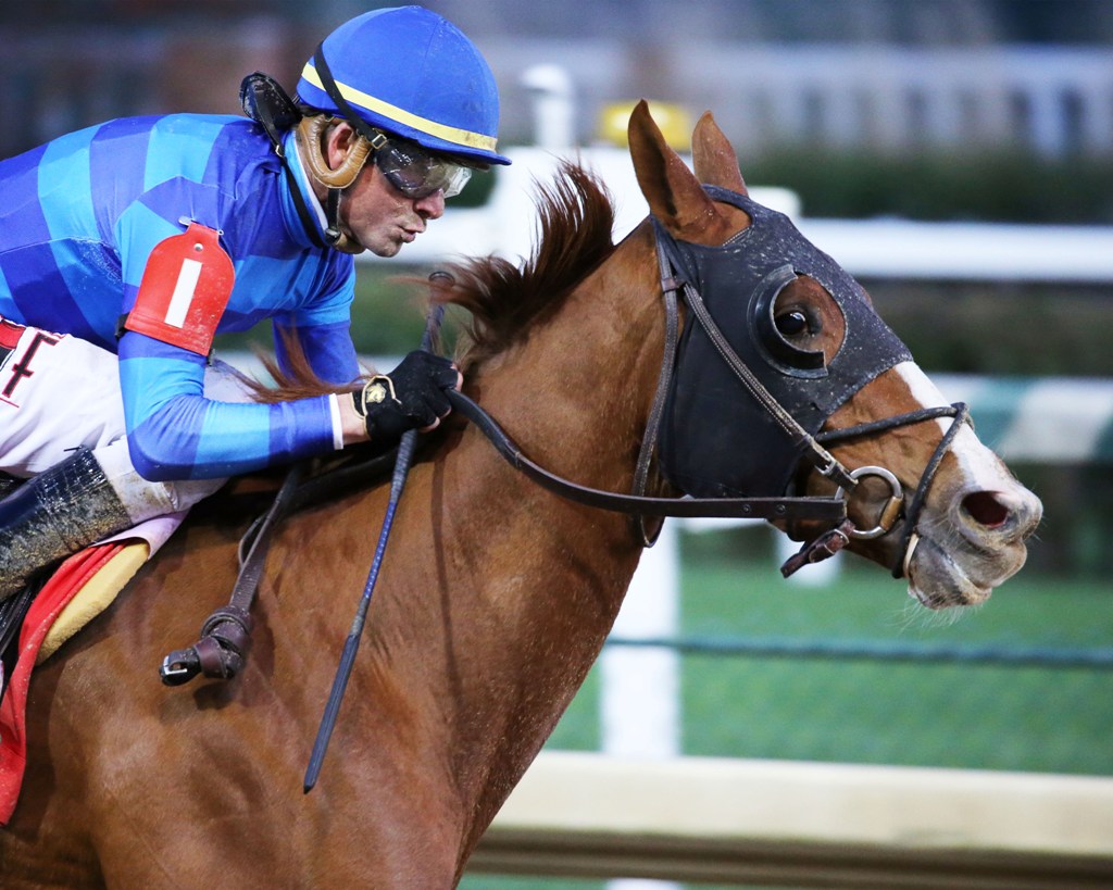 Churchill Downs stakes spot plays for Thanksgiving Day The TwinSpires