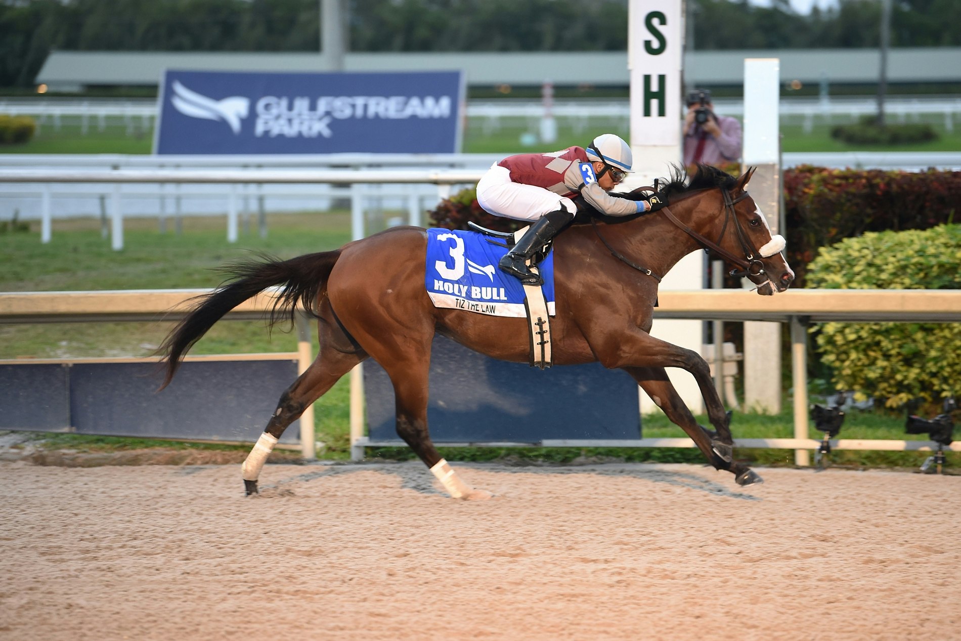 The Super Bowl and Horse Racing: Tidbits and Trivia | The TwinSpires Edge