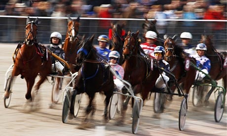 Upcoming Harness Races