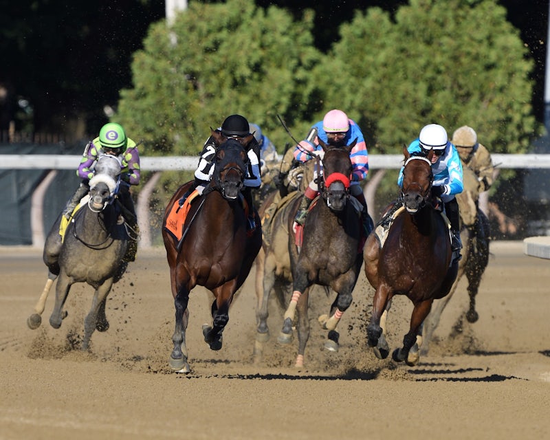 Gulfstream park roulette bet Gulfstream park roulette bet