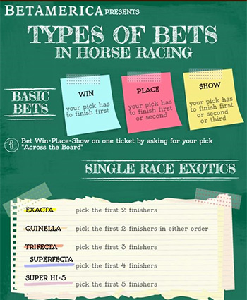 horse race betting explained