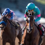 Santa Anita Breeders' Cup Preview
