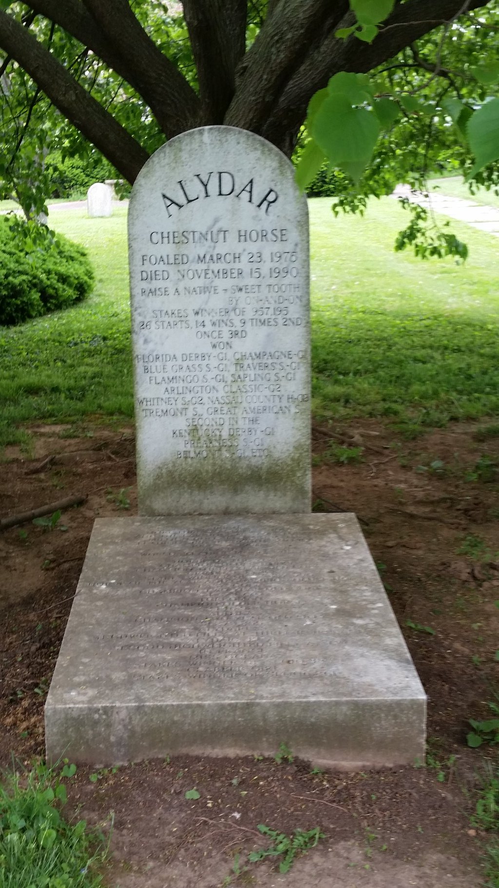 Alydar's resting place (Vance Hanson)