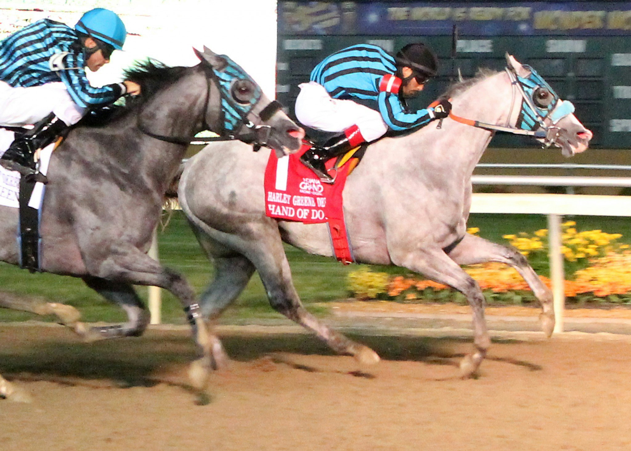 All Quarter Horse Card Saturday at Indiana Grand Race Course