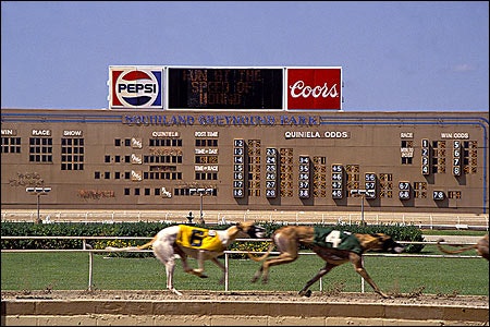 Southland Greyhound Racing Handicap Track