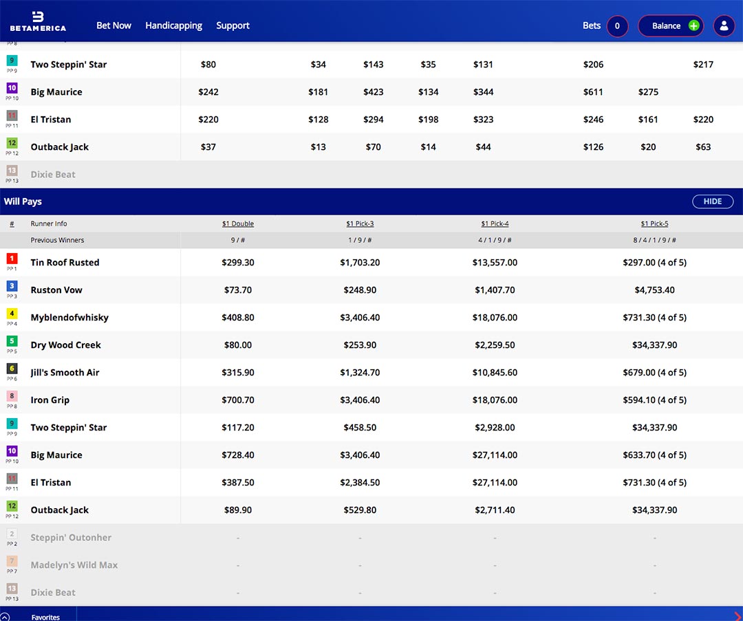 Will pays on BetAmerica Horse Racing