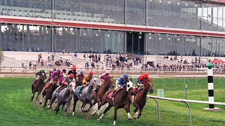 Betamerica sportsbook indianapolis Betamerica sportsbook indianapolis