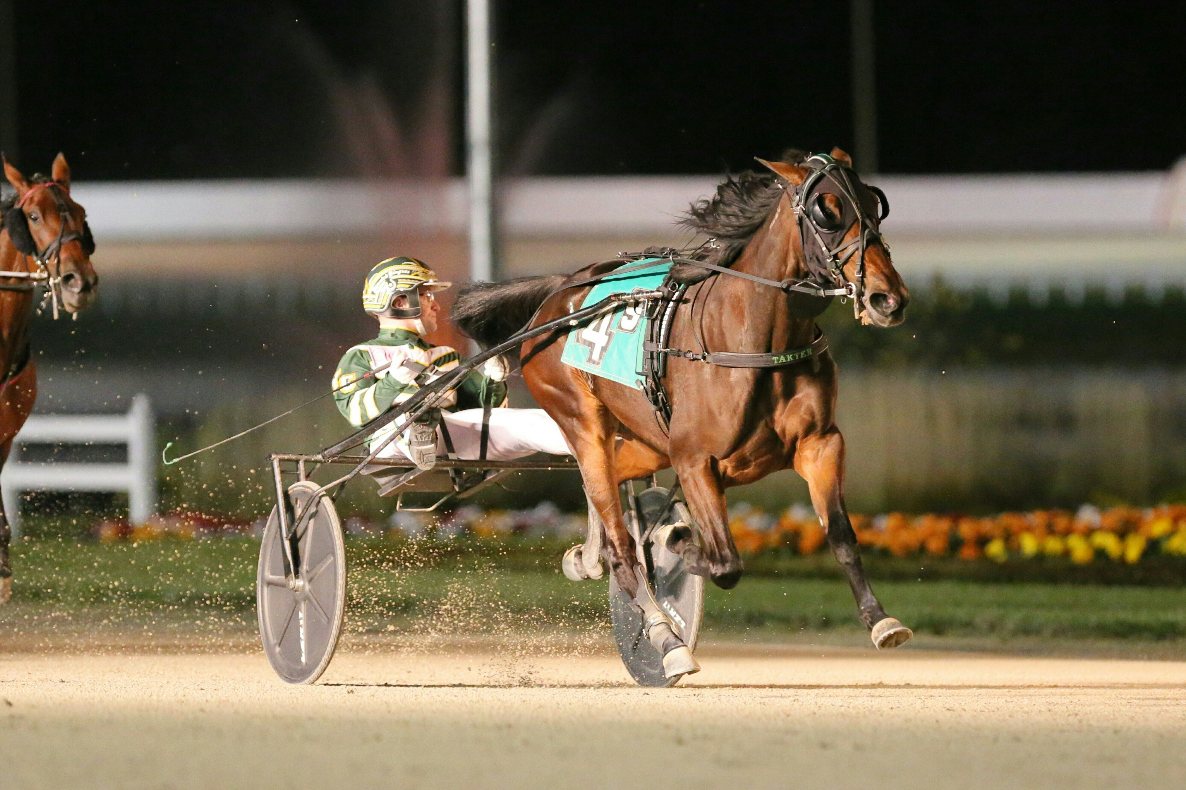 Harness racing Dover Downs Pick 3 promises a strong price The