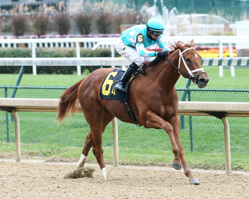 Monomoy Girl Stands Out in Rachel Alexandra Stakes | BetAmerica Extra