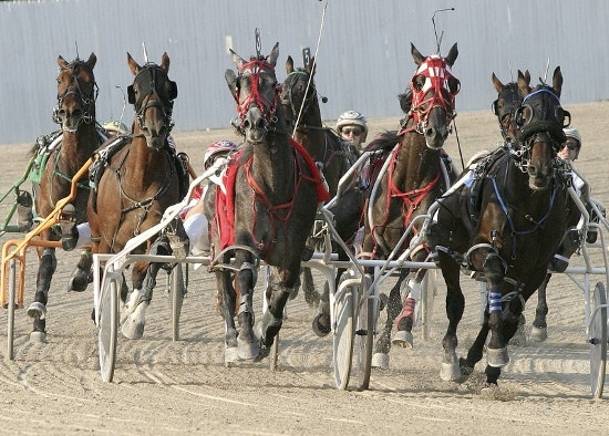 Hoosier Park Harness Racing