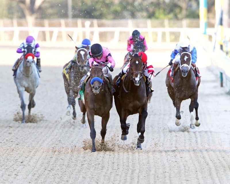 2019 Rebel Stakes 2019 Rebel Stakes