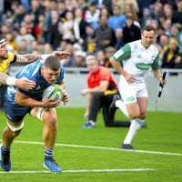 New Zealand rugby tops list of pro sports that can now be watched in person