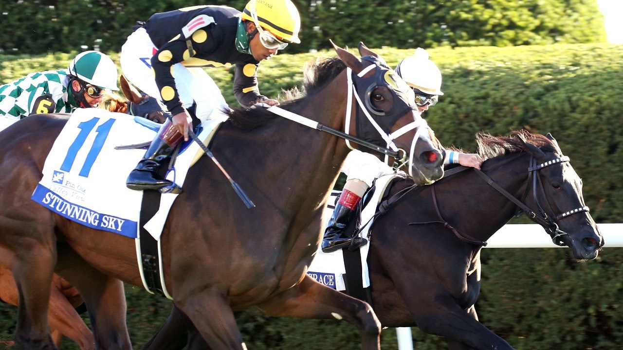 Gulfstream Park stakes spot plays for Dec. 26 | The TwinSpires Edge Gulfstream Park stakes spot plays for Dec. 26 | The TwinSpires Edge