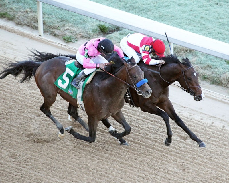 Omaha Beach Defeats Game Winner in Rebel Stakes Division 2 The