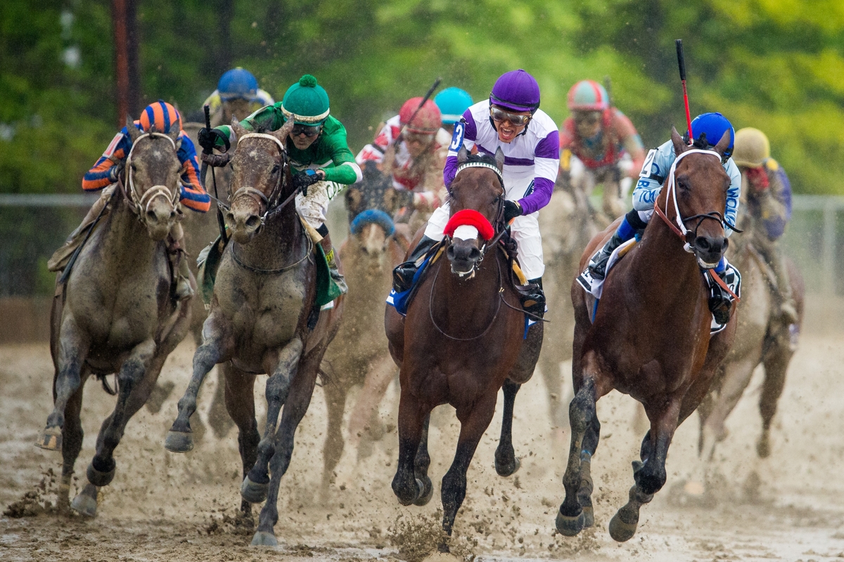 Nyquist Lost Triple Crown But Could Still Be A Great Horse 