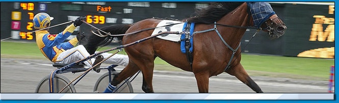 The Meadows Harness Racing