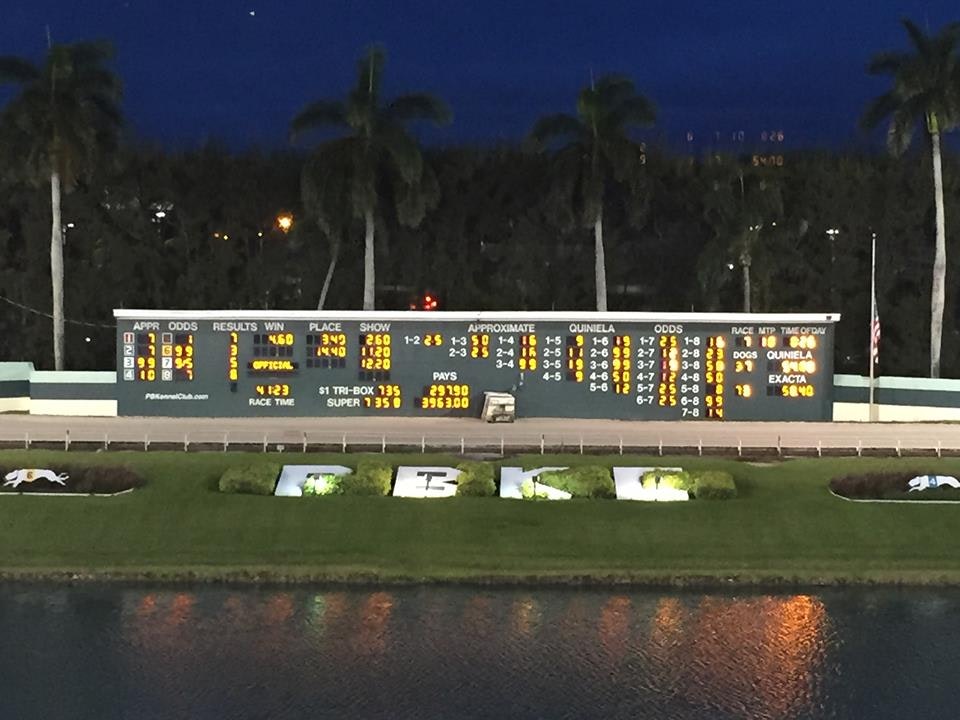 Greatest Day For The Palm Beach Kennel Club The Twinspires Edge