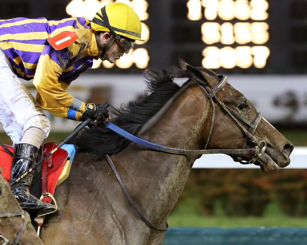 Keeler Johnson's Kentucky Derby Top 10 Thoughts, Insights, and Fun