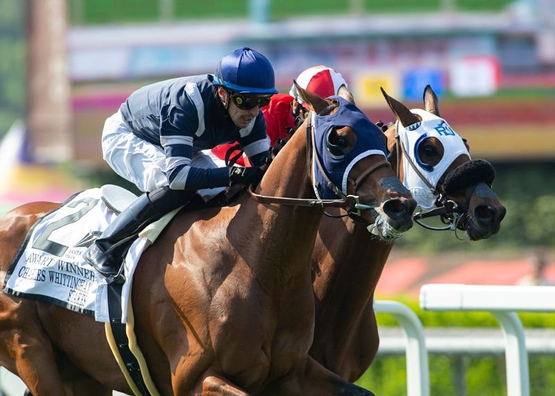 How To Bet The 2021 Del Mar Handicap The Twinspires Edge