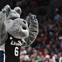 Which college basketball mascot are you?