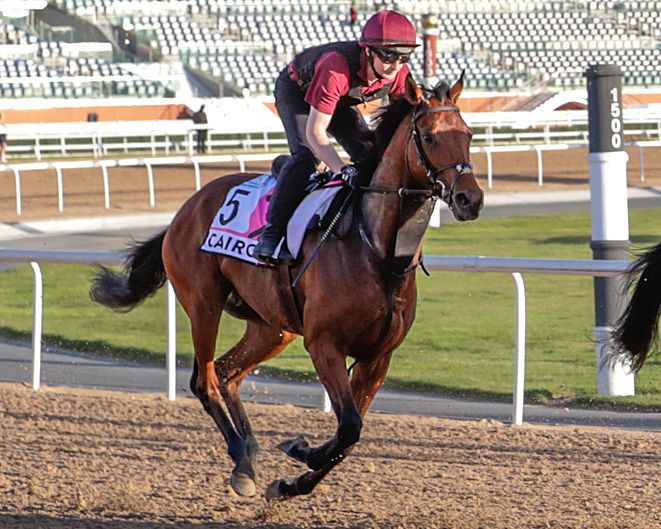 Meet the Contenders 2023 UAE Derby TwinSpires