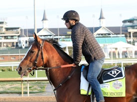 Cyclone Mischief trains at Churchill Downs 2023
