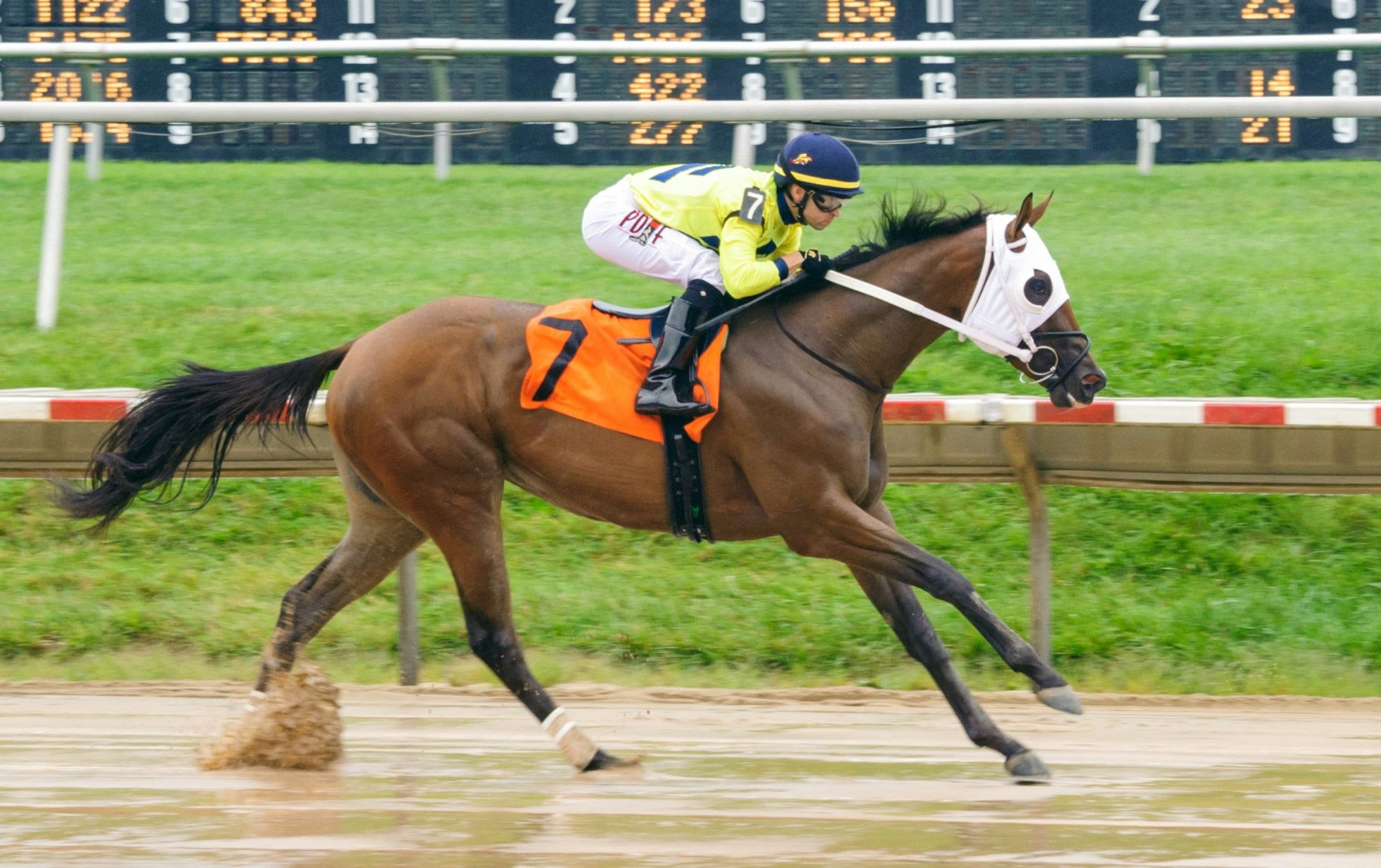Pimlico Stakes Spot Plays for May 21 The TwinSpires Edge