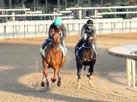 Disarm works towards the Kentucky Derby at Churchill Downs