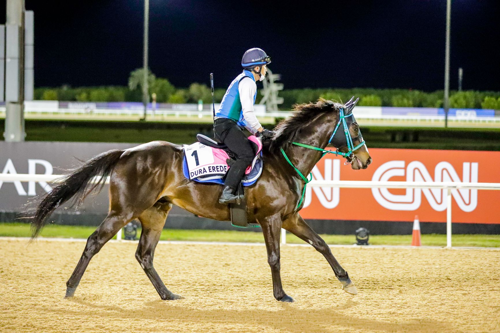 Meet the Contenders 2023 UAE Derby TwinSpires