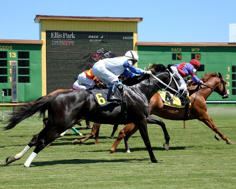 Ellis Park stakes spot plays for Aug. 7 | The TwinSpires Edge
