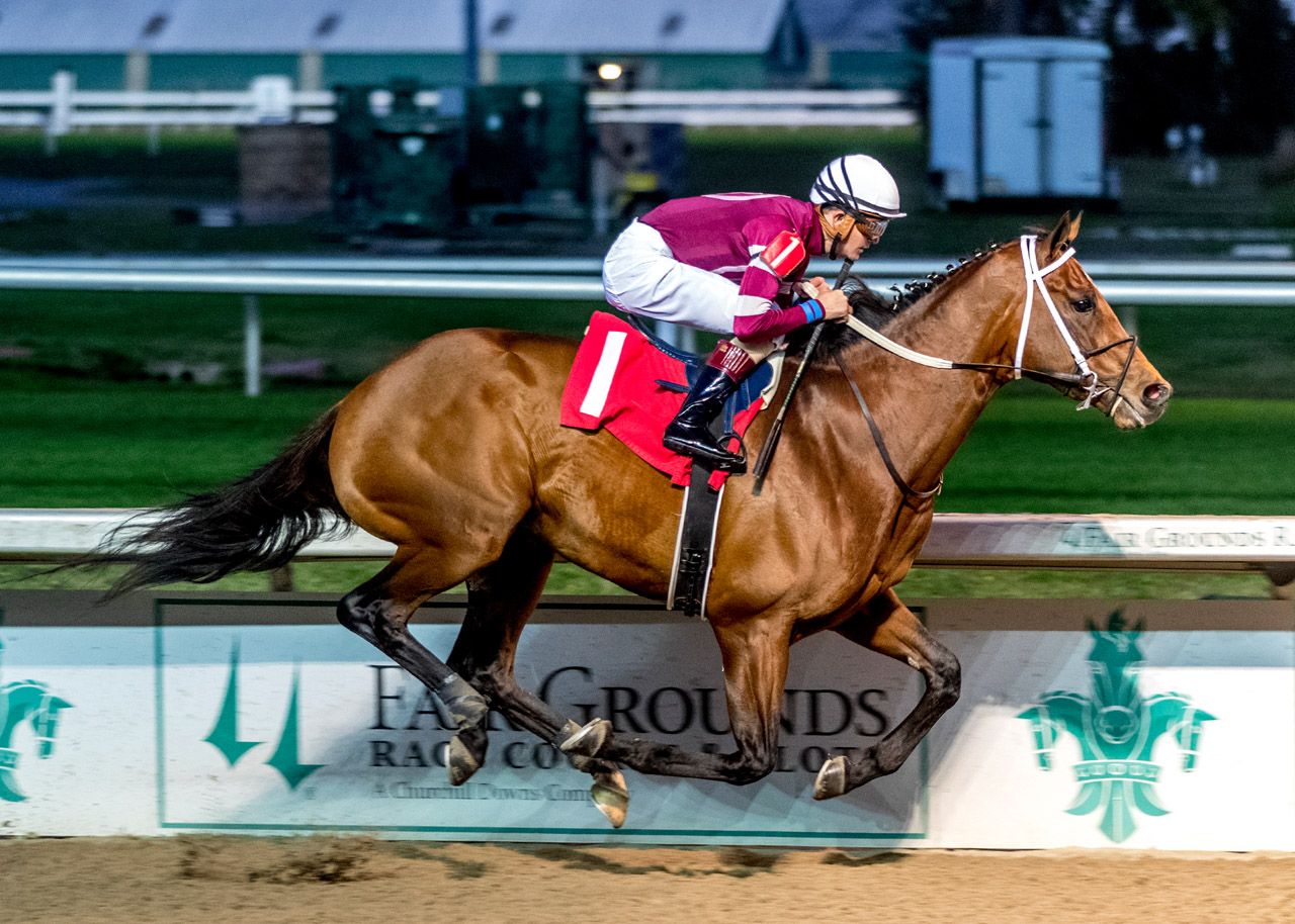 2022 Kentucky Derby Contenders: Foaling Dates And Dosage Indexes | The ...