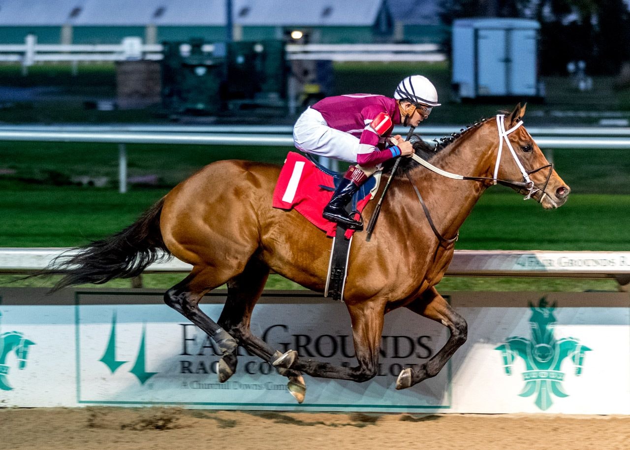 2022 Kentucky Derby contenders foaling dates and Dosage Indexes The