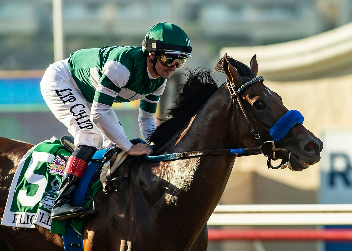 Meet the 2022 Breeders' Cup Classic contenders The TwinSpires Edge