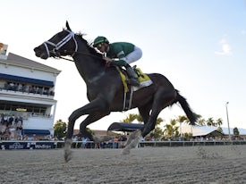 Forte wins the Fountain of Youth Stakes