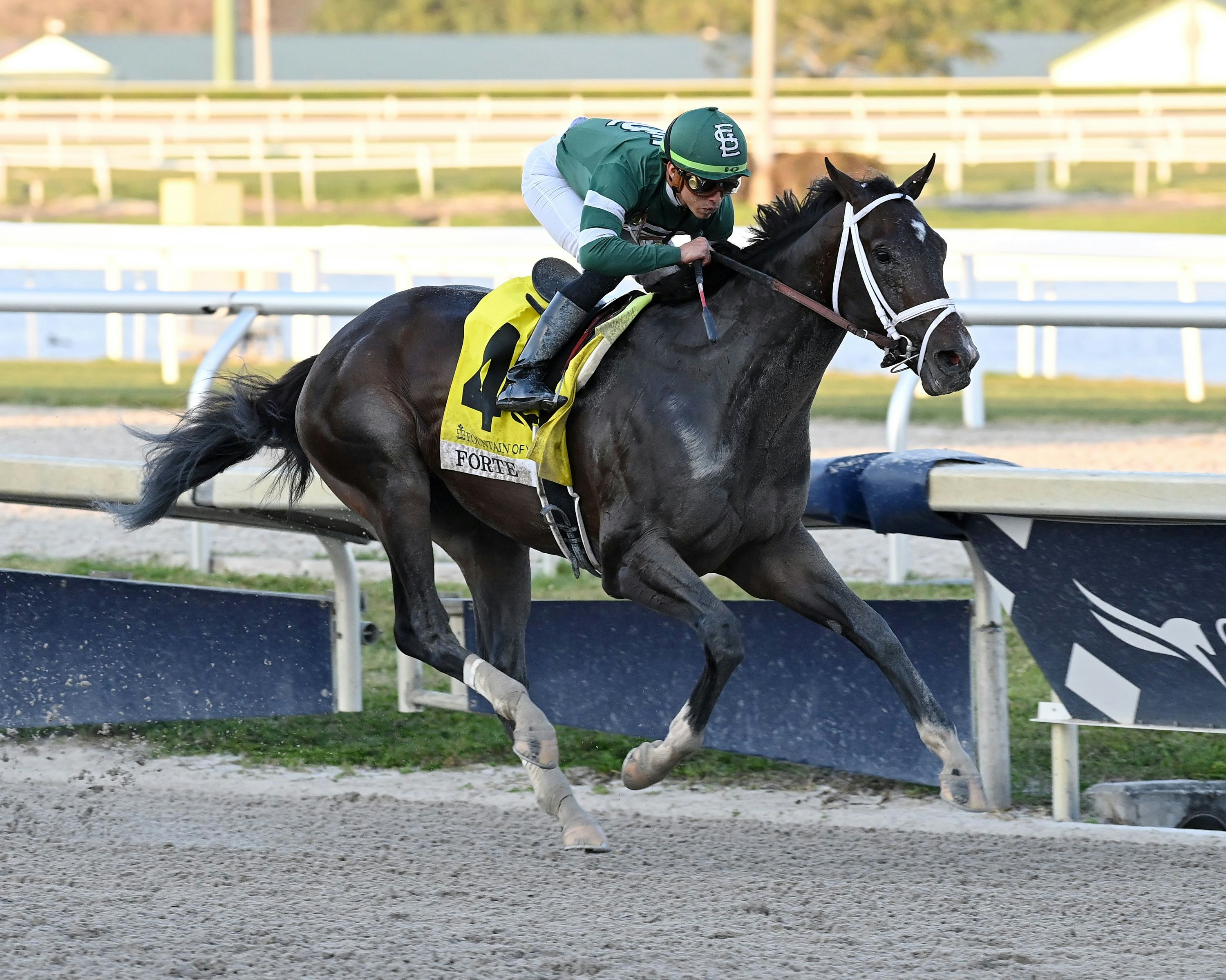 Forte heavily favored in Kentucky Derby Future Wager Pool 6 The