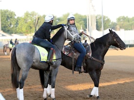 Hit Show absorbs Churchill Downs during morning works