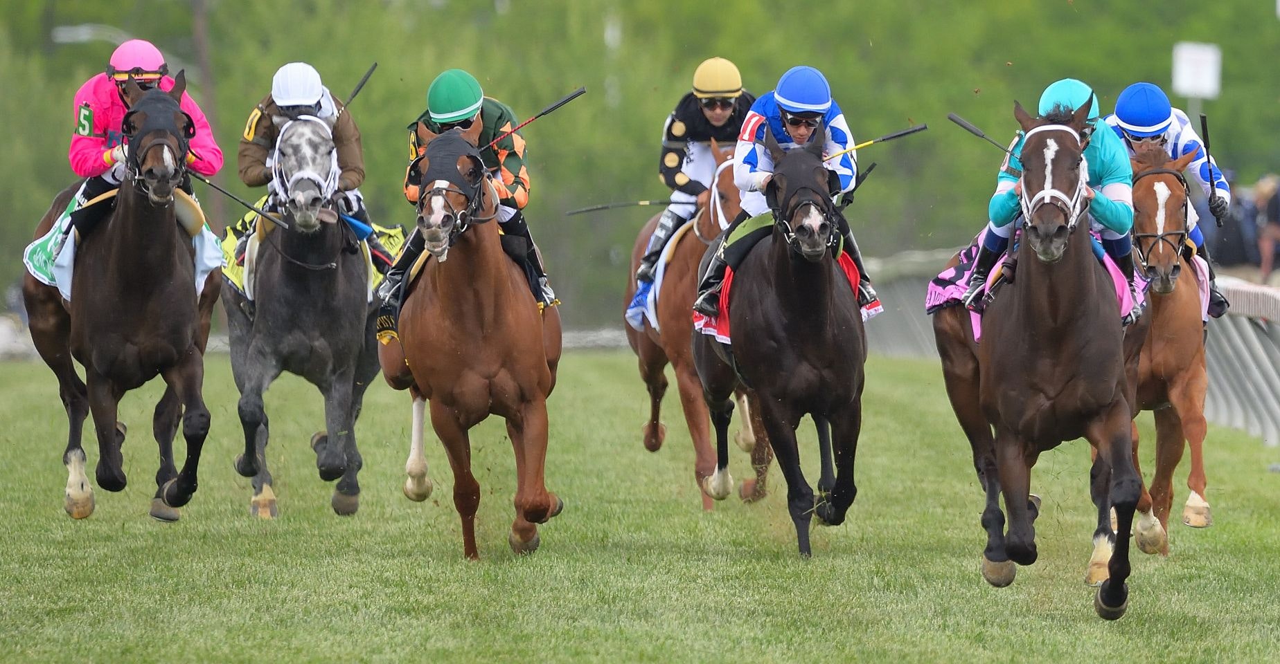 Turf Races The Key To Pimlico S 7 551 Pick 5 Carryover The Twinspires Edge