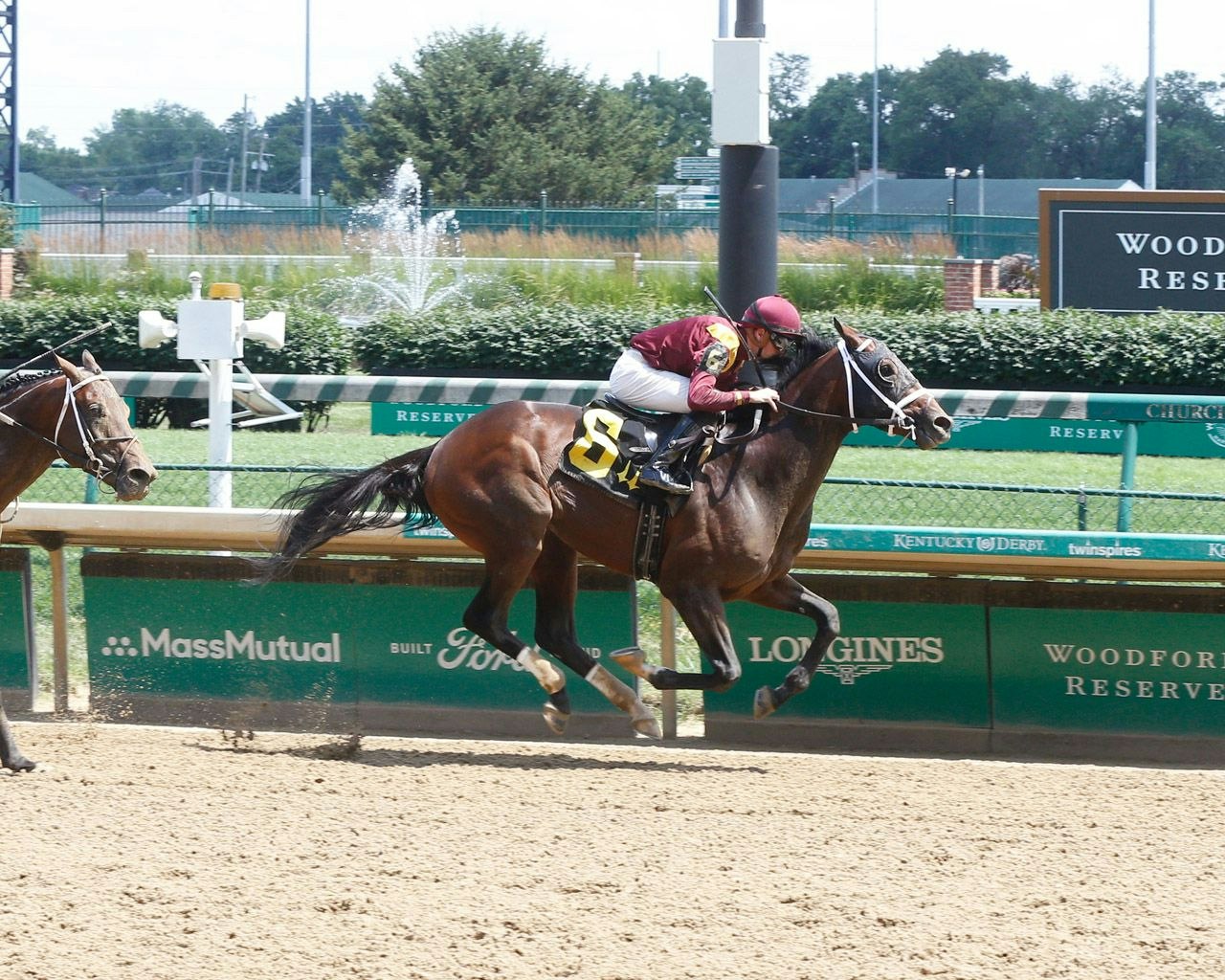How To Bet The 2021 West Virginia Derby The Twinspires Edge