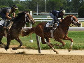 Known Agenda inside of Dr Post, training at Belmont Park