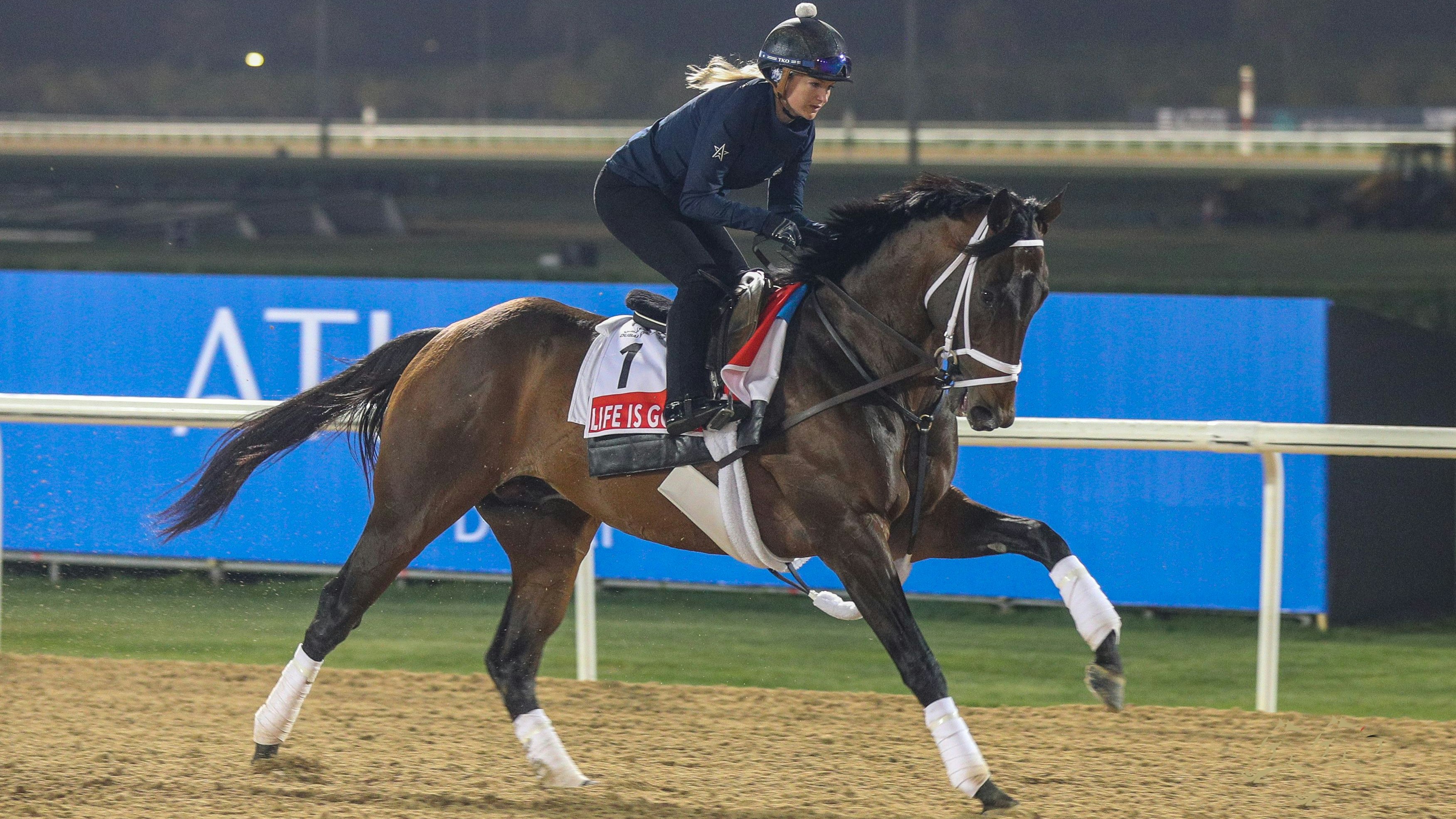 2022 Dubai World Cup: Top picks, value plays, and longshots ...