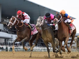 Lord Miles (left) winning the Wood Memorial (G2) at Aqueduct (Photo by Coglianese Photos)