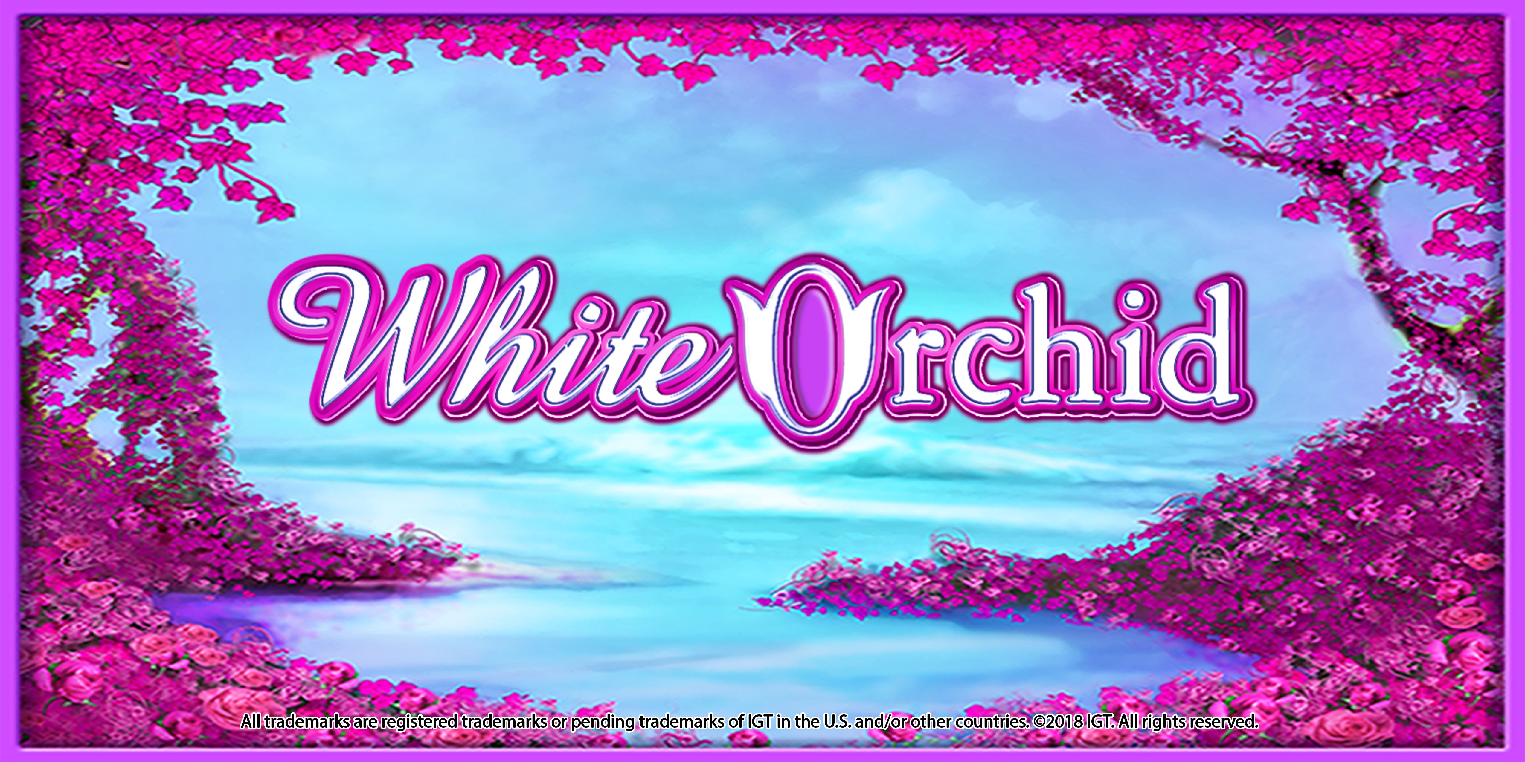 free slots white orchid