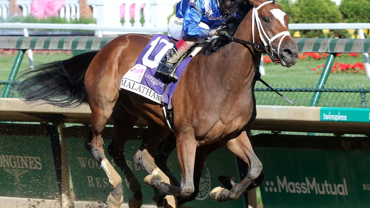 How to bet the 2021 Alabama Stakes | The TwinSpires Edge How to bet the 2021 Alabama Stakes | The TwinSpires Edge