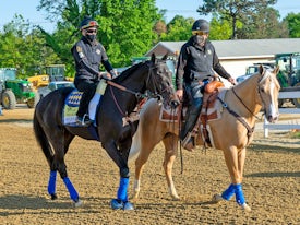 Medina Spirit trains at Pimlico for Preakness Stakes 2021