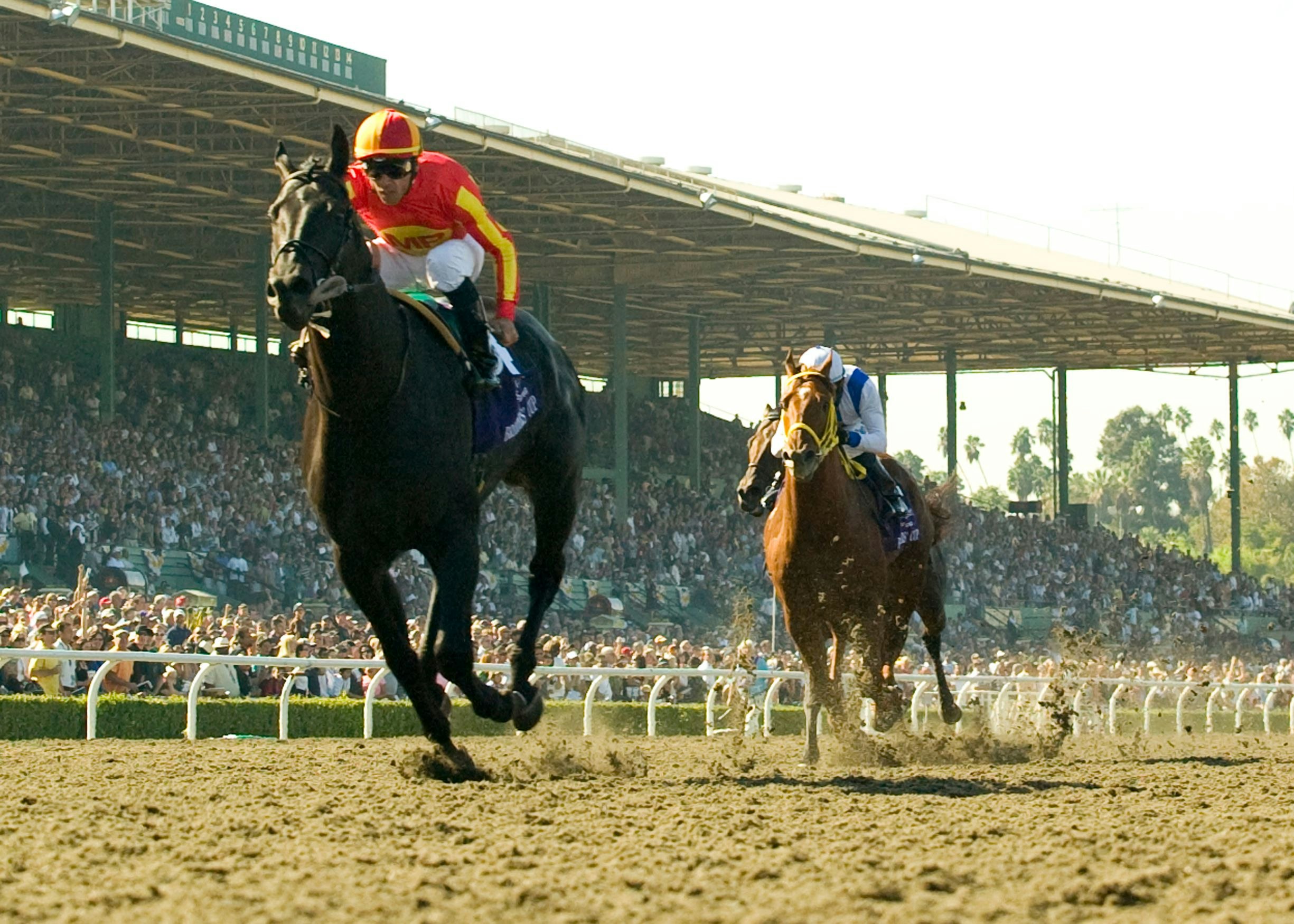 History's Top 10 Breeders' Cup Sprint performances The TwinSpires Edge