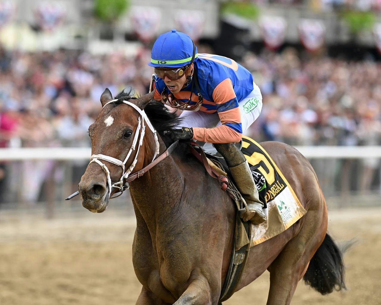 The Science of Horse Racing: Why Do Jockeys Ride Like That? The The Science of Horse Racing: Why Do Jockeys Ride Like That? The