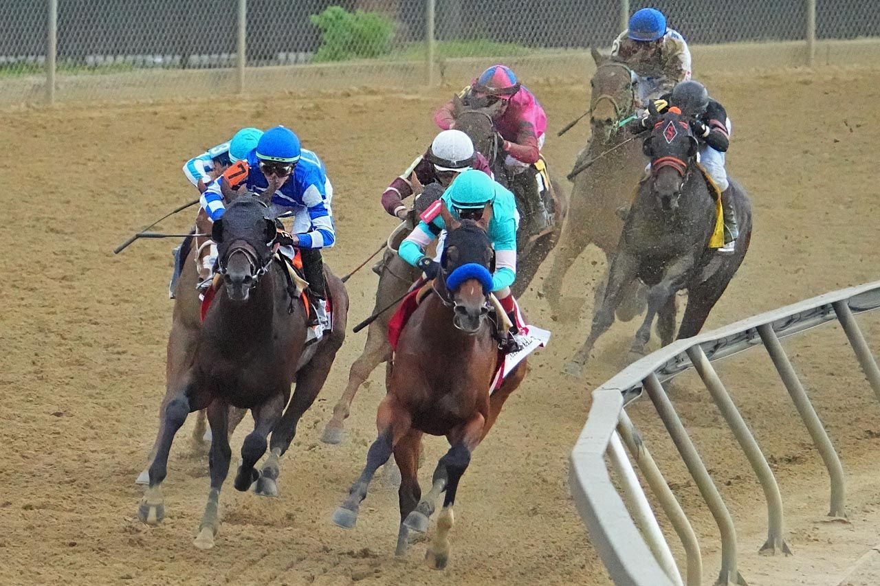 2023 Preakness Stakes winner: National Treasure (5-2) wins the 148th ...