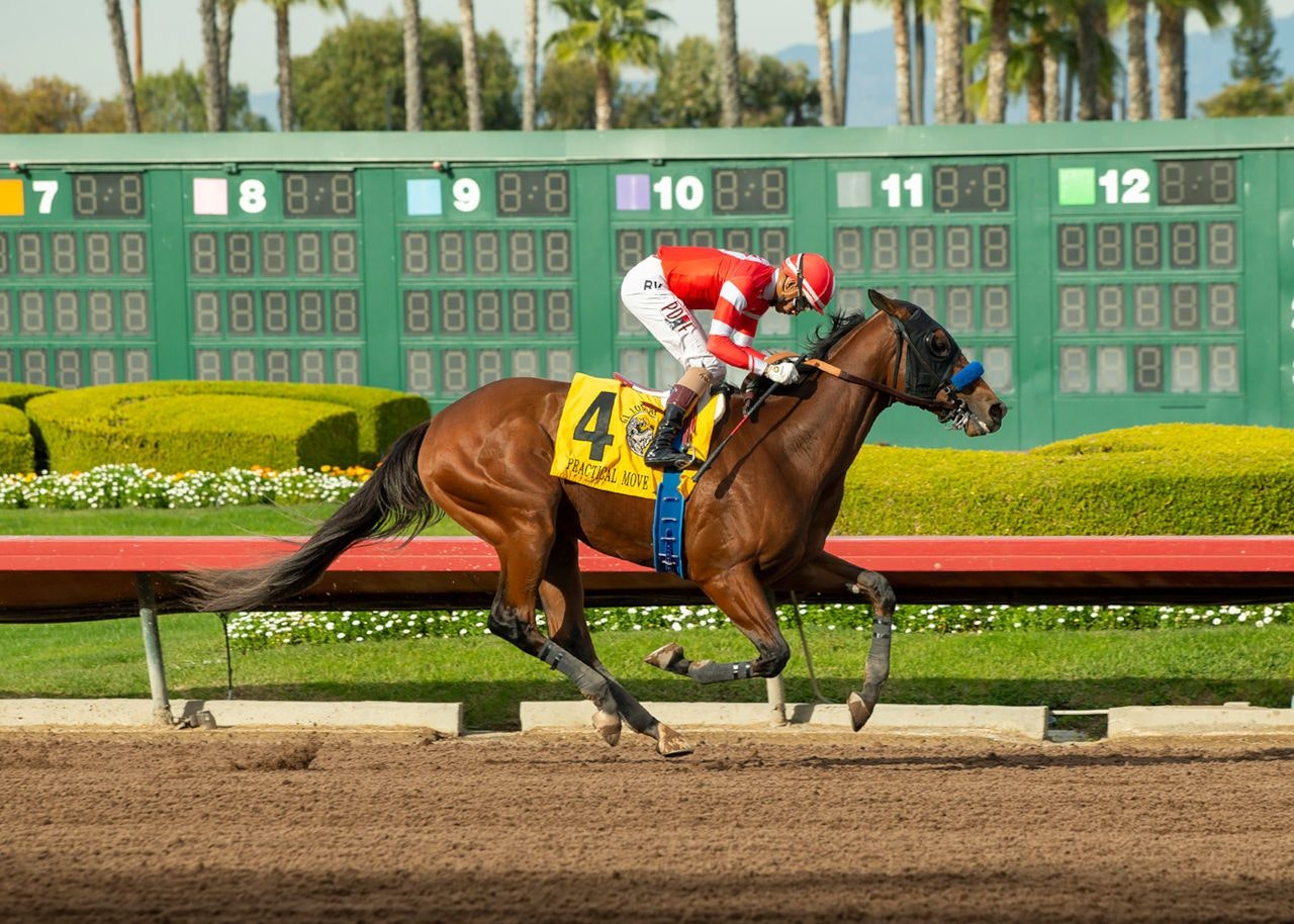 Kentucky Derby pedigree profile Practical Move The TwinSpires Edge