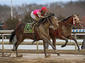 Raise Cain winning the Gotham (G3) at Aqueduct (Photo by Jessie Holmes/EquiSport Photos)